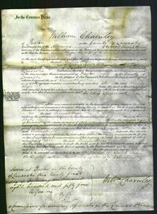 Court of Common Pleas - Emma Bryer-Original Ancestry