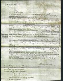 Court of Common Pleas - Ellen Leonard-Original Ancestry