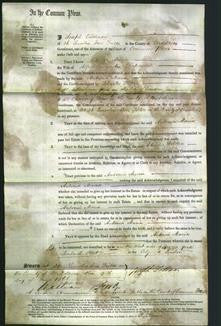 Court of Common Pleas - Antonia Maria Chapman-Original Ancestry