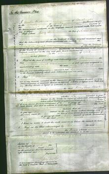 Court of Common Pleas - Mary Ann Musk-Original Ancestry