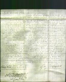Court of Common Pleas - Mary Ann Carter-Original Ancestry