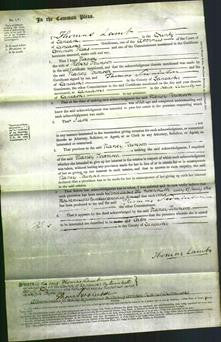 Court of Common Pleas - Nancy Townson-Original Ancestry