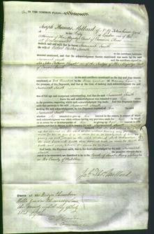 Court of Common Pleas - Susannah Smith-Original Ancestry