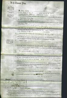 Court of Common Pleas - Eliza Day-Original Ancestry