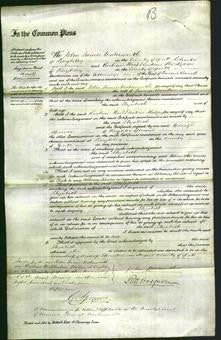 Court of Common Pleas - Elizabeth Bowker-Original Ancestry