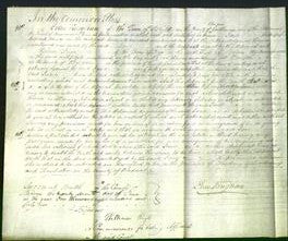 Court of Common Pleas - Jane Warner-Original Ancestry