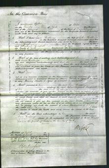 Court of Common Pleas - Jane Hollings-Original Ancestry