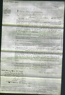 Court of Common Pleas - Lydia Schnadhorst-Original Ancestry