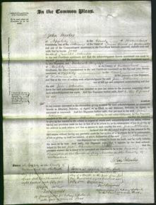 Court of Common Pleas - Jane Atkinson-Original Ancestry