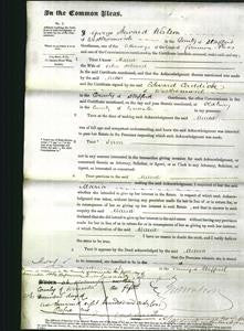 Court of Common Pleas - Maria Holland-Original Ancestry