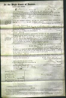 Court of Common Pleas - Eliza Sarah Cole-Original Ancestry