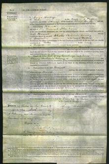 Court of Common Pleas - Harriett Vanes-Original Ancestry