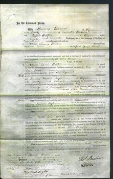 Court of Common Pleas - Ellen Marsh-Original Ancestry