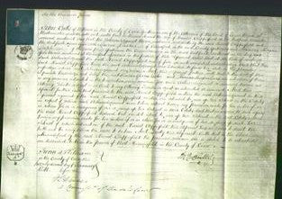 Court of Common Pleas - Harriet Chipperfield-Original Ancestry