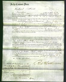 Court of Common Pleas - Maria Wilks-Original Ancestry