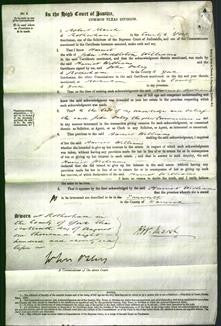Court of Common Pleas - Harriet Williams-Original Ancestry