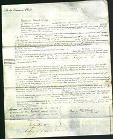 Court of Common Pleas - Caroline Woodhill-Original Ancestry