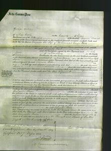 Court of Common Pleas - Augusta Wells-Original Ancestry