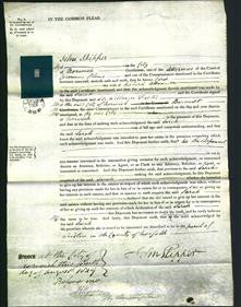 Court of Common Pleas - Sarah Alexander-Original Ancestry