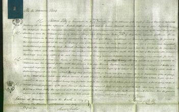 Court of Common Pleas - Harriett Faulkner-Original Ancestry