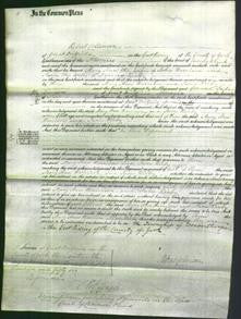 Court of Common Pleas - Mary Ann Clarkson Harrison and Jane Clarkson Kirby-Original Ancestry