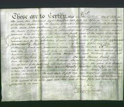 Deed by Married Women - Elizabeth Newland Gilbert and Jane Stevens-Original Ancestry
