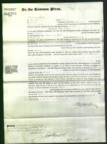 Court of Common Pleas - Maria Trotter-Original Ancestry