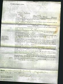 Court of Common Pleas - Catherine Halberson-Original Ancestry