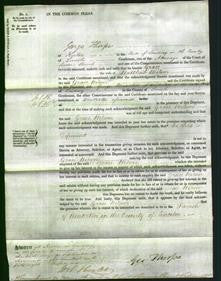 Court of Common Pleas - Grace Wilson-Original Ancestry