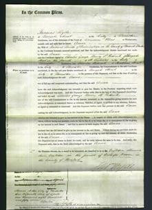 Court of Common Pleas - Anne Smith-Original Ancestry