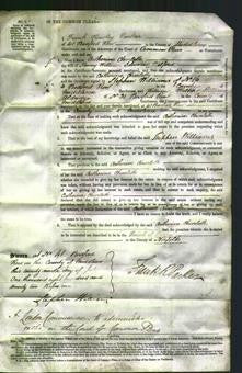 Court of Common Pleas - Catherine Charlotte Belford-Original Ancestry