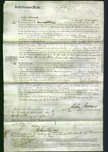 Court of Common Pleas - Caroline Maria Shilstone-Original Ancestry