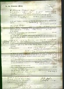 Court of Common Pleas - Mary Hoyland-Original Ancestry