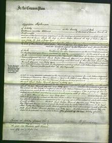 Court of Common Pleas - Sarah Baker, Hannah Pyman and Betty Agar-Original Ancestry