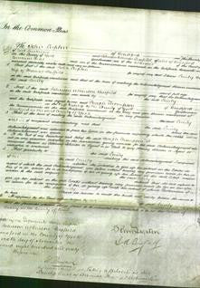 Court of Common Pleas - Emily Sheffield