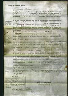 Court of Common Pleas - Sarah Biddle-Original Ancestry