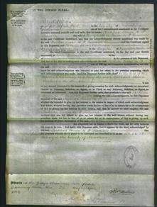 Court of Common Pleas - Matilda Susan De St. Sauveur-Original Ancestry