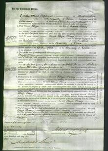 Court of Common Pleas - Eliza Perry-Original Ancestry