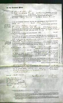 Court of Common Pleas - Mary Frewick-Original Ancestry