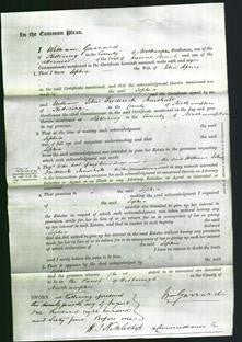 Court of Common Pleas - Sophia Aprice-Original Ancestry