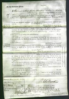 Court of Common Pleas - Sophia Witts-Original Ancestry