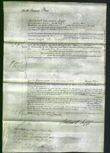 Court of Common Pleas - Ellen Pierce Seaman-Original Ancestry