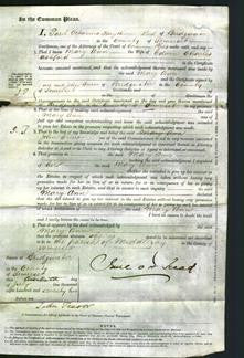 Court of Common Pleas - Mary Ann Ashford-Original Ancestry