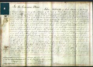Court of Common Pleas - Frances Russell-Original Ancestry