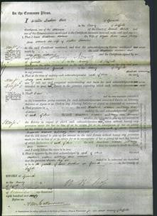 Court of Common Pleas - Christener Warner Soar and Mary Ann Warner Thurston-Original Ancestry