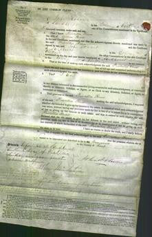 Court of Common Pleas - Priscilla Reeve-Original Ancestry