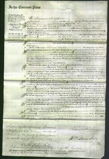 Court of Common Pleas - Harriet Buck-Original Ancestry