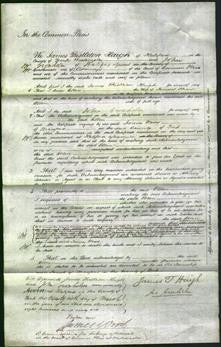 Court of Common Pleas - Ellen Shaw-Original Ancestry