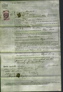 Court of Common Pleas - Eliza Jones-Original Ancestry