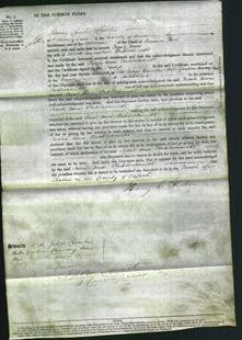 Court of Common Pleas - Sarah Ann Stahlschmidt-Original Ancestry